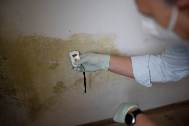 Water Damage Restoration in Athens, AL